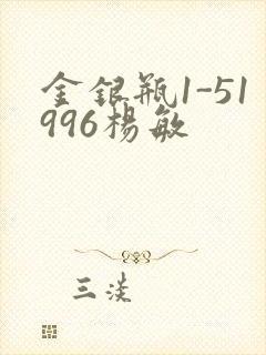 金银瓶1-51996杨敏封面