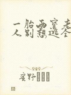 一胎两宝老婆大人别想逃全文免费阅读全文