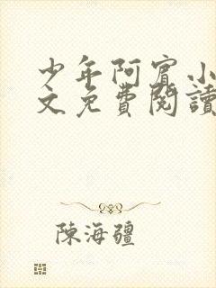 少年阿宾小说全文免费阅读