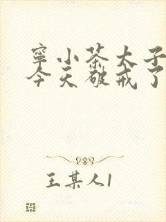 宁小茶太子殿下今天破戒了吗免费阅读封面