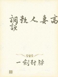 调教人妻高h小说