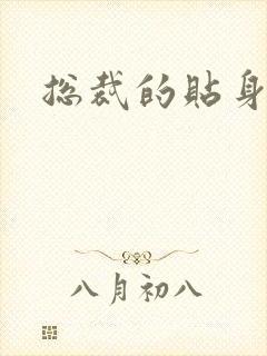 总裁的贴身女佣封面