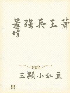 最强兵王萧晨苏晴