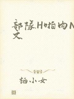 部队H啪肉NP文封面