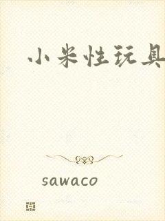小米性玩具日记封面