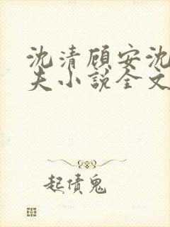 沈清顾安沈澈姐夫小说全文阅读封面