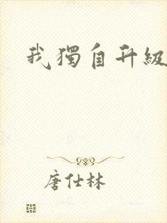 我独自升级2
