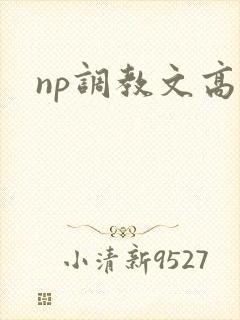np调教文高h