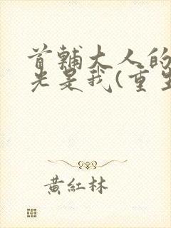 首辅大人的白月光是我(重生)封面