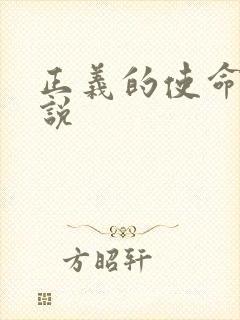 正义的使命 小说