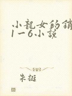 小龙女的销魂夜1一6小说