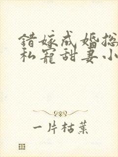 错嫁成婚总裁的私宠甜妻小说封面