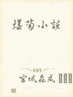 爆菊小说封面