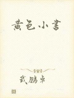 黄色小书