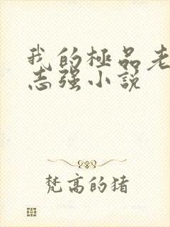 我的极品老婆方志强小说