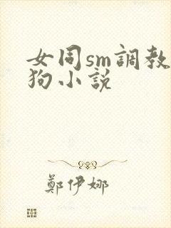 女同sm调教母狗小说