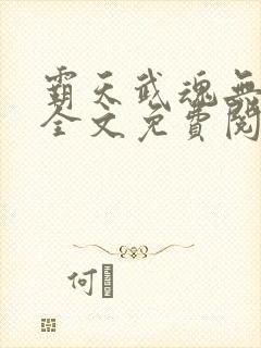 霸天武魂无弹窗全文免费阅读