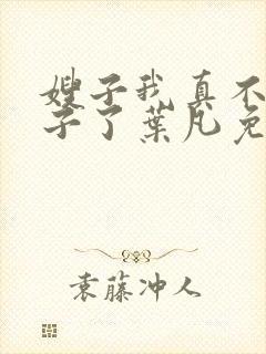 嫂子我真不是傻子了叶凡免费