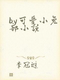 by可爱小兔全部小说