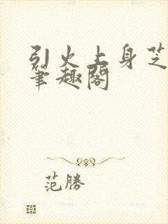 引火上身芝麻糖笔趣阁