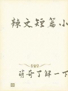 辣文短篇小说