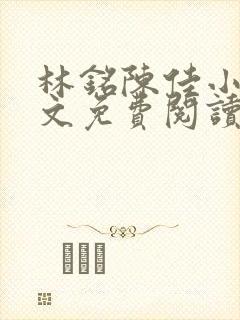 林铭陈佳小说全文免费阅读最新章节下载封面