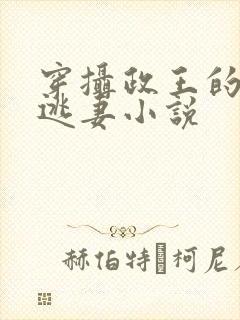 穿摄政王的侍爱逃妻小说