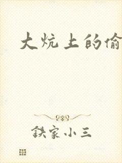 大炕上的偷乱2