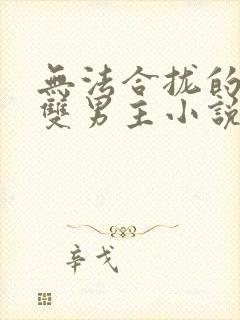 无法合拢的总裁双男主小说