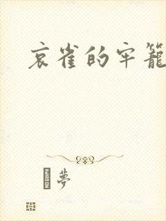 哀雀的牢笼封面