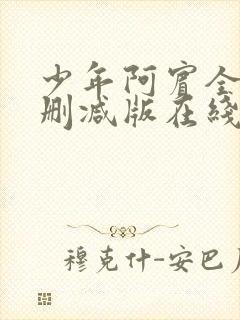 少年阿宾全集无删减版在线阅读