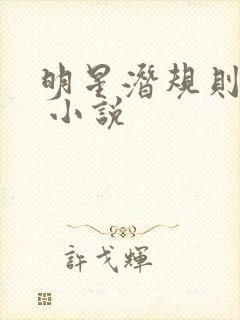 明星潜规则之皇 小说封面