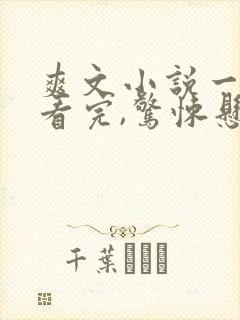 爽文小说一口气看完,惊悚悬疑恐怖封面