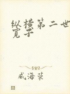 纵横第二世界 宽子封面