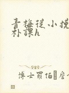 青梅从小摸到大补课h封面