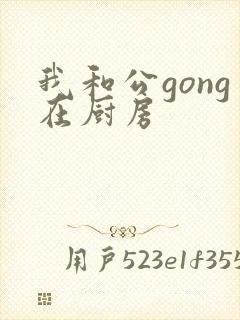 我和公gong在厨房