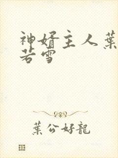 神婿主人叶凡唐若雪