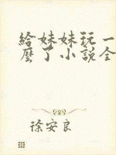 给妹妹玩一下怎么了小说全文阅读