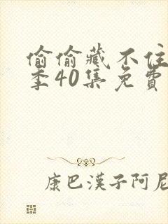 偷偷藏不住第2季40集免费观看