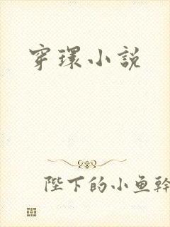穿环小说