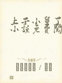 上子小舅了老婆小说免费阅读封面