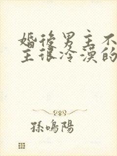 婚后男主不爱女主很冷漠的文po封面