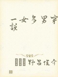 一女多男穿越小说封面