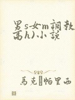 男s女m调教(高h)小说