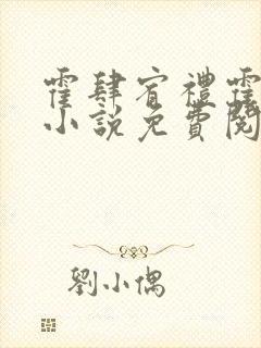 霍肆宥礼霍肆琛小说免费阅读无弹窗