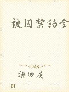 被囚禁的金丝雀封面
