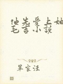 他先爱上她by毛吉小说封面