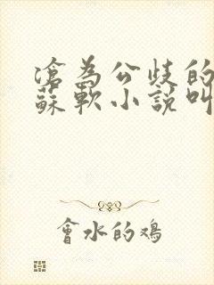 沧为公歧的校花苏软小说叫