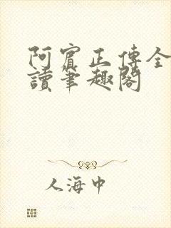 阿宾正传全文阅读笔趣阁