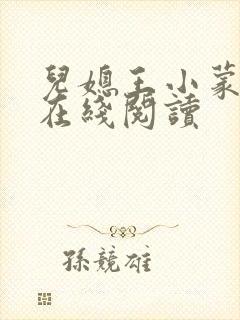 儿媳王小蒙小说在线阅读封面
